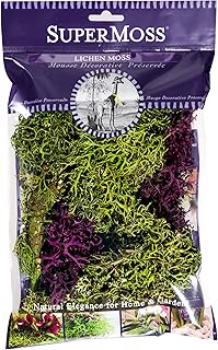 SuperMoss (25811 Lichen Parmelia (Branched), Green + Burgundy Mix, 4oz
