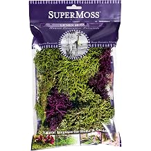 SuperMoss 25811 Lichen Parmelia Branched, Green + Burgundy Mix, 120 cu in