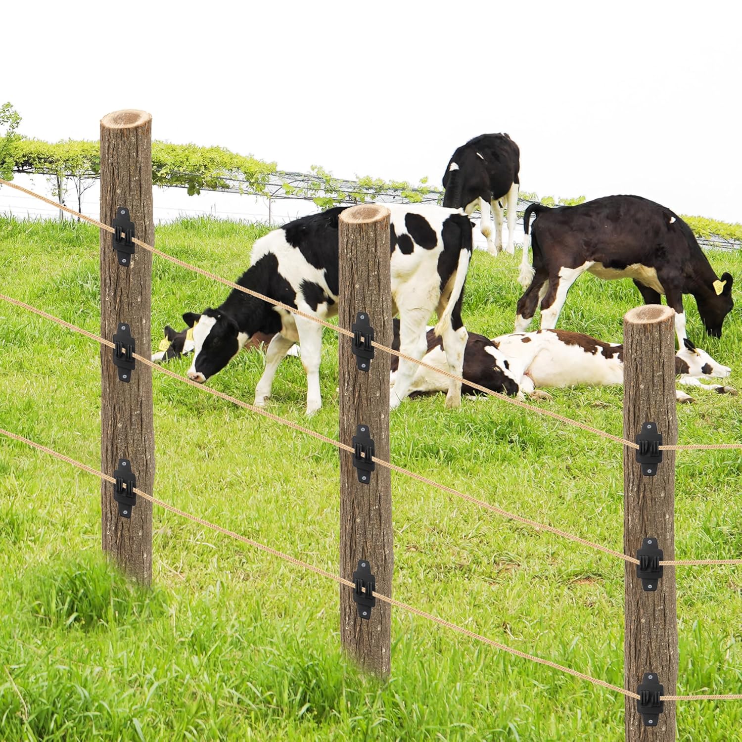 Electric Fence Insulators Wood Post Claw Insulators Nail on Insulator for Hi-Tensile, Heavy Duty Fencing Wire Polywire,Black (100)