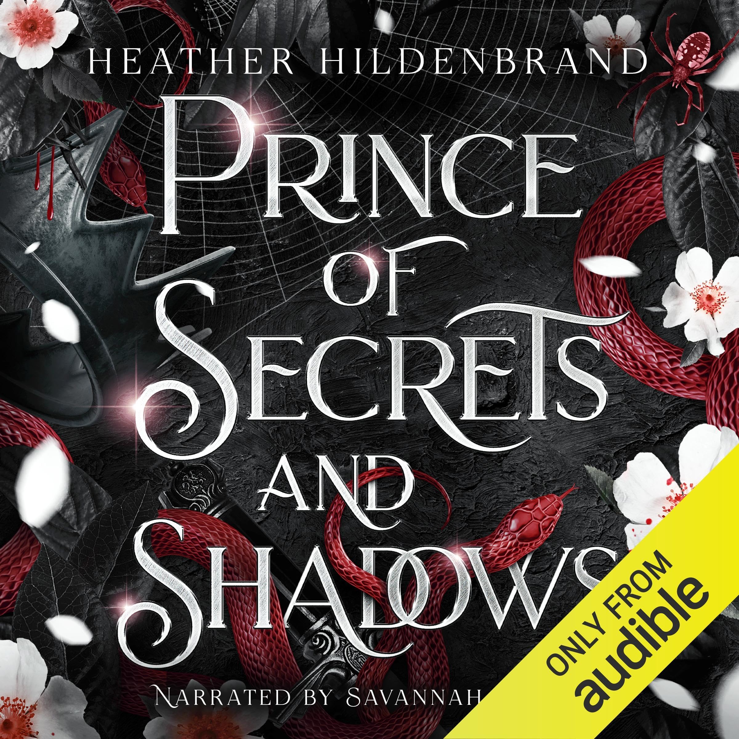 Cover art for Prince of Secrets & Shadows