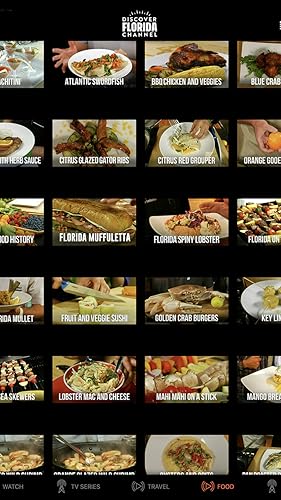 Discover Florida Channel