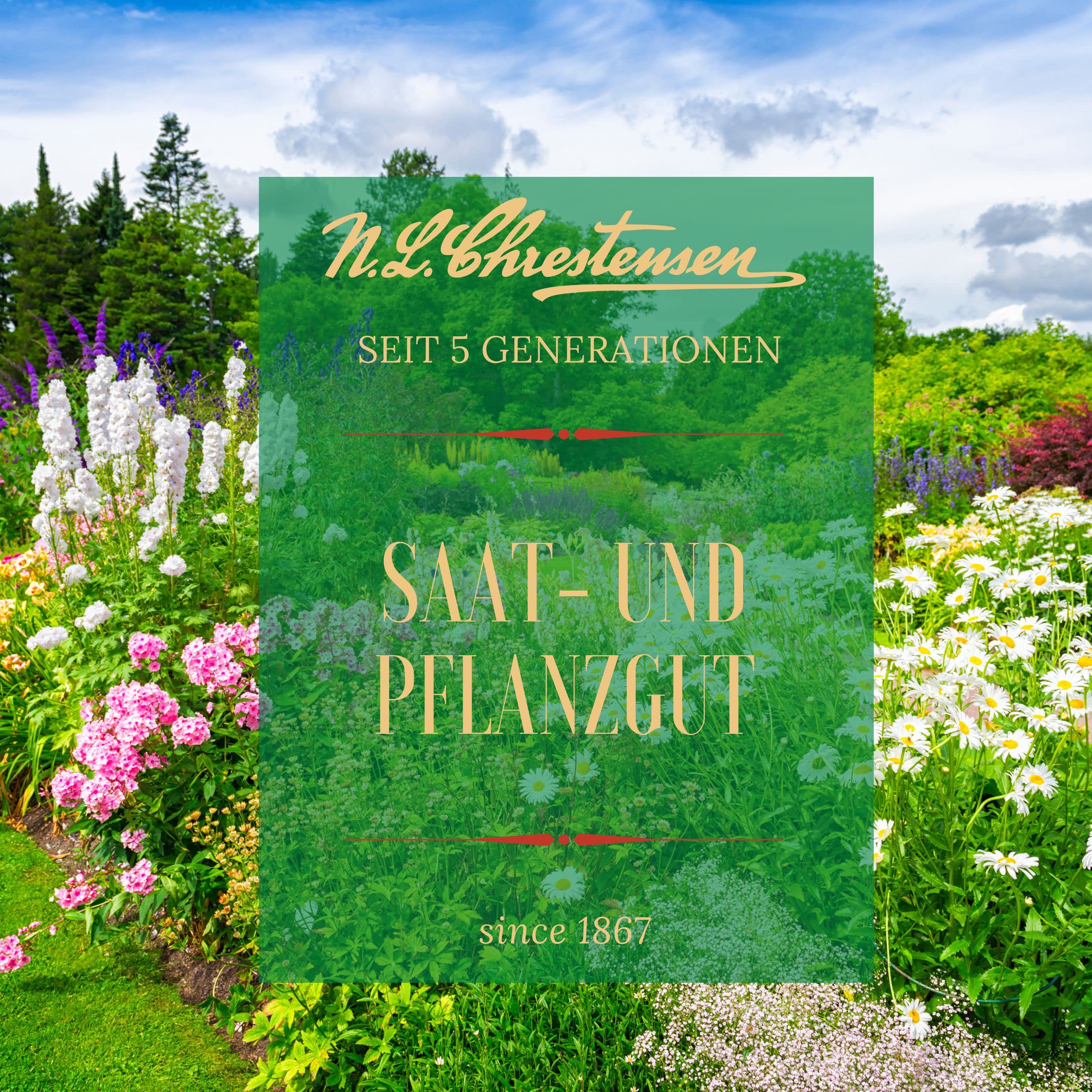 N.L. Chrestensen Blumensamen Mischung, Saatgut bienenfreundlich, Sommerblumen, Bienenweide, Bienen Blumen Samen, Blumenwiese für Bienen, reicht für 100 bis 200 m2 (1L Eimer)