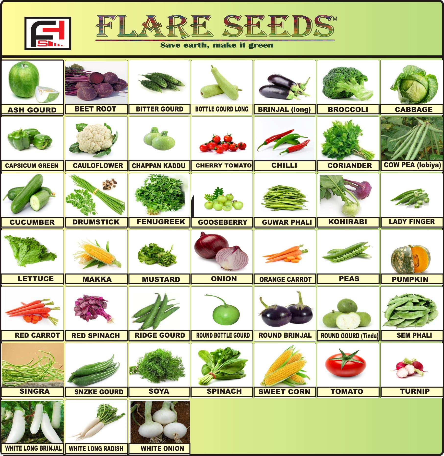 FLARE SEEDS Vegetables Seeds Combo For Home Garden 45 Varieties Indian Vegetable Organic Seeds 2500+ Seeds (B08D97Q6XZ) Amazon Price History, Amazon Price Tracker