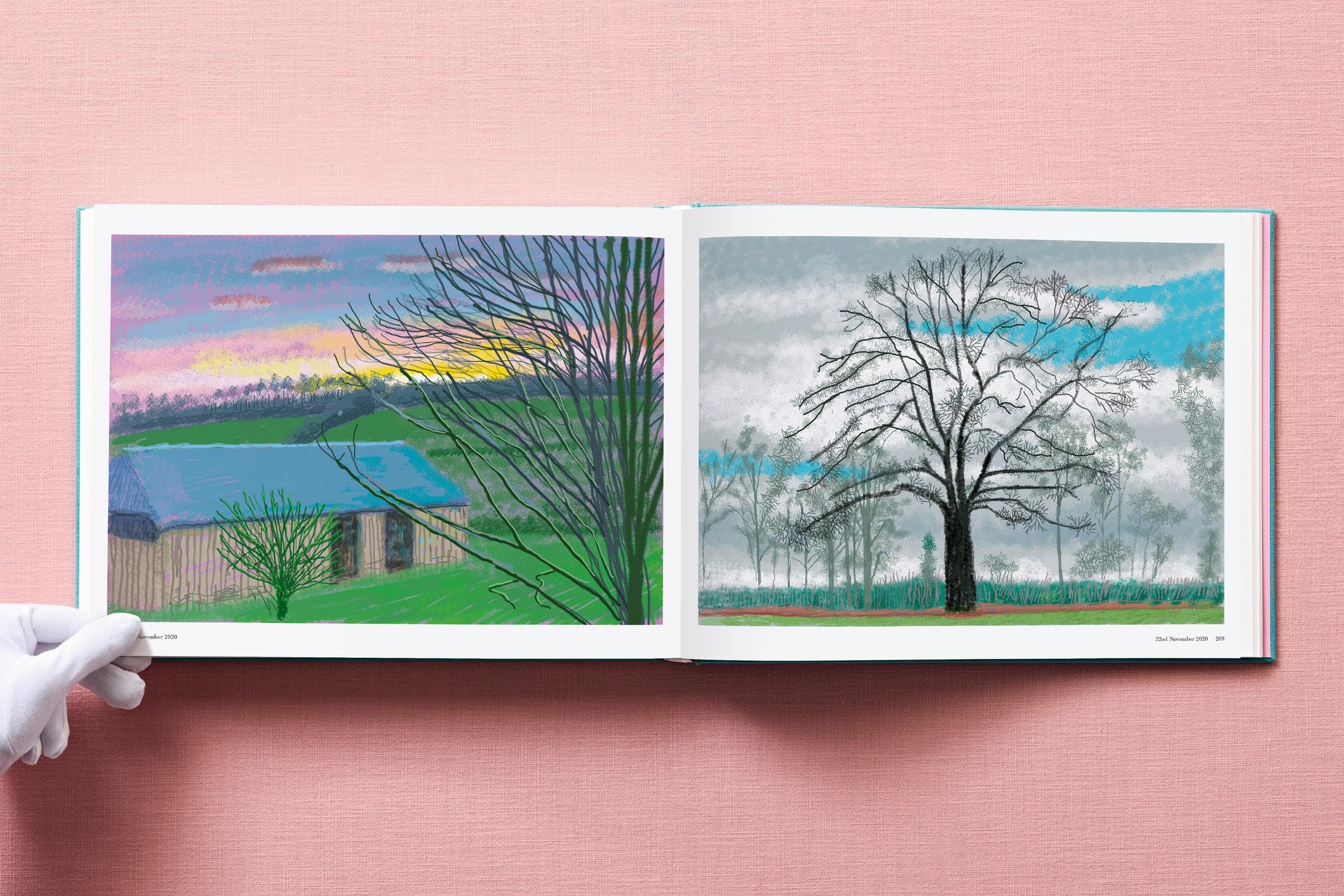 David Hockney: 220 for 2020