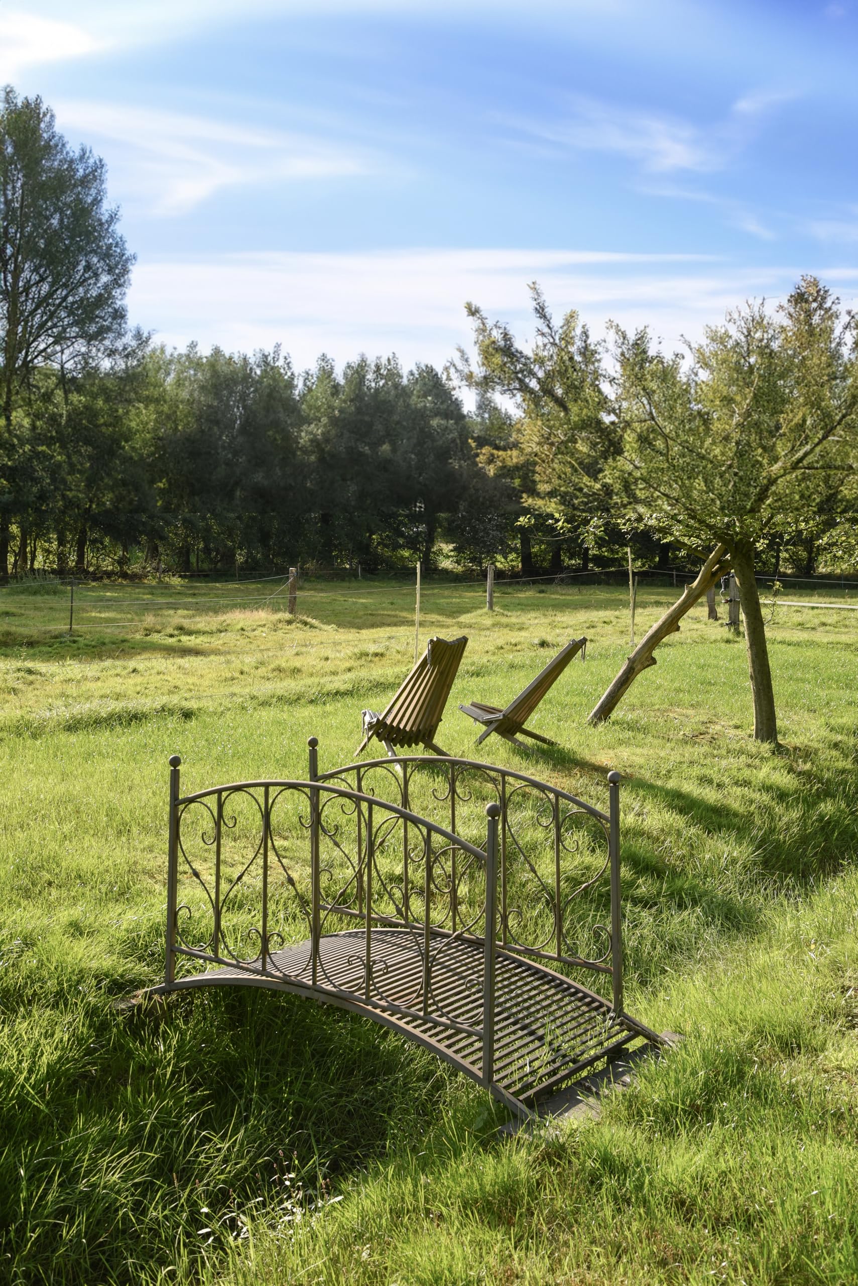 DELUKE Gartenbrücke Paris mit Geländer Antik-Optik - Stahl Schwarzbraun 91,7x79,3x181,4cm | Metallbrücke Garten Teichbrücke