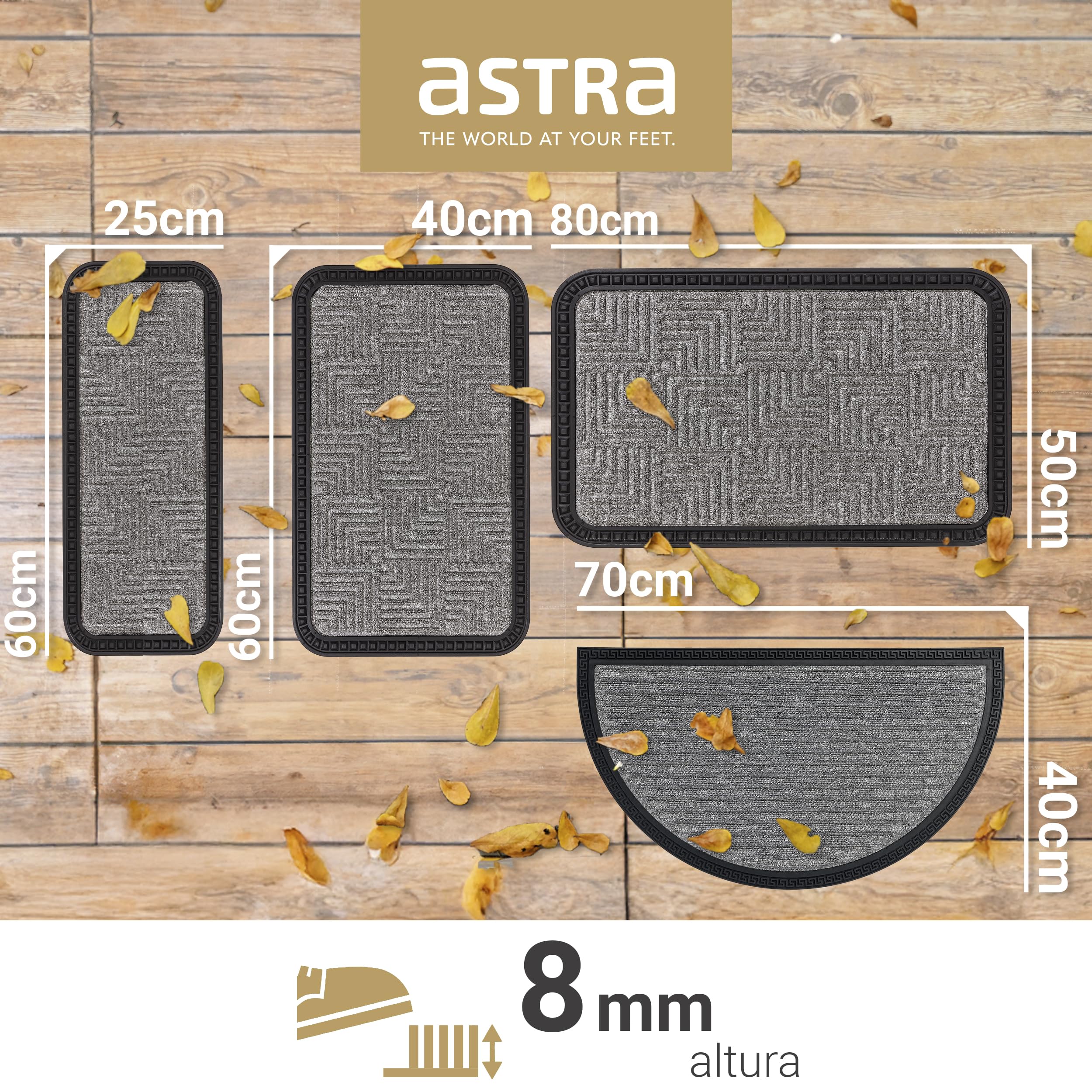 Astra Felpudos - Clean-Off - Dirt-Trap - Felpudo de Exterior - Felpudo - Apto para escalones - Felpudo Resistente - 25 x 60 cm - Plata | Alfombrilla de goma robusta para puerta, duradera, muy resistente, fácil de limpiar