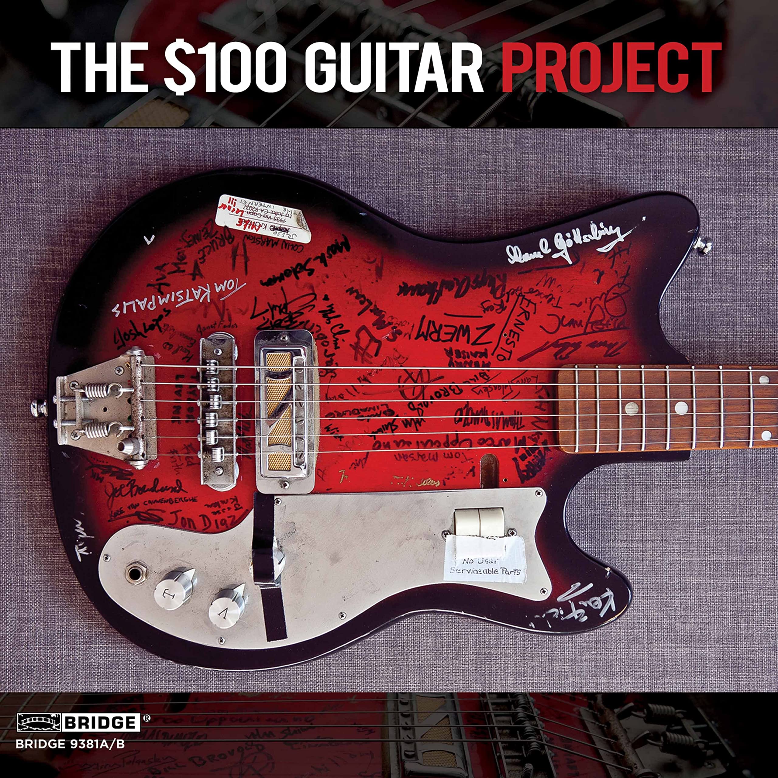 $100 Guitar Project