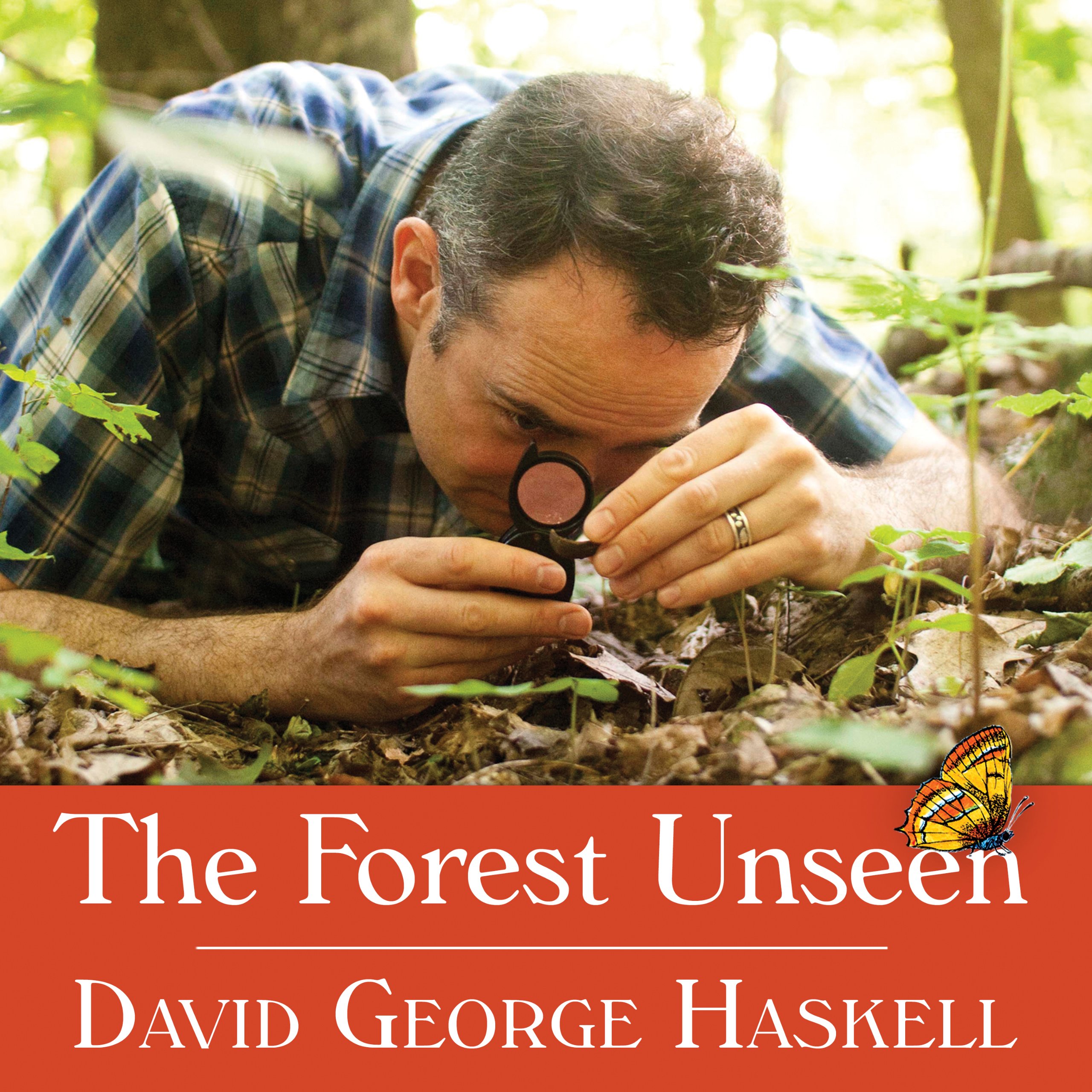 Cover art for The Forest Unseen