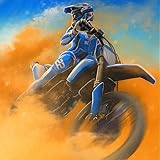 リアルオフロードモトクロスバイク3D