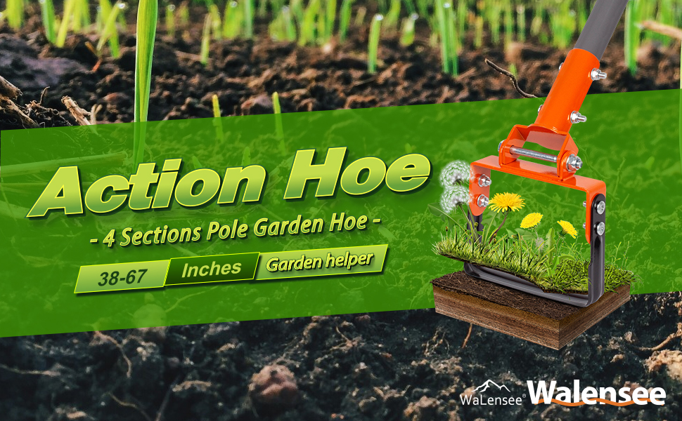 Walensee Action Hoe on Amazon Live
