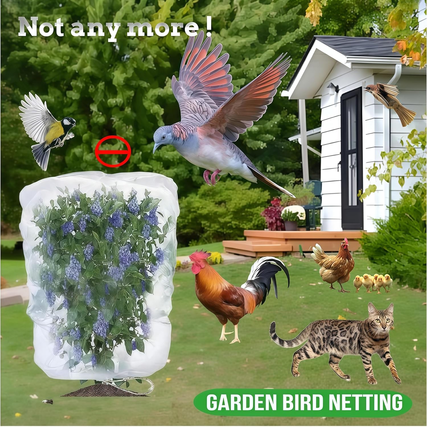 Large Fruit Tree Netting - 2 Pack 10x10FT Easy Install Plant Protection Cover, Reusable Garden Mesh Bag for Blueberry Bushes/Tomato - Blaock Birds/Insect/Squirrels