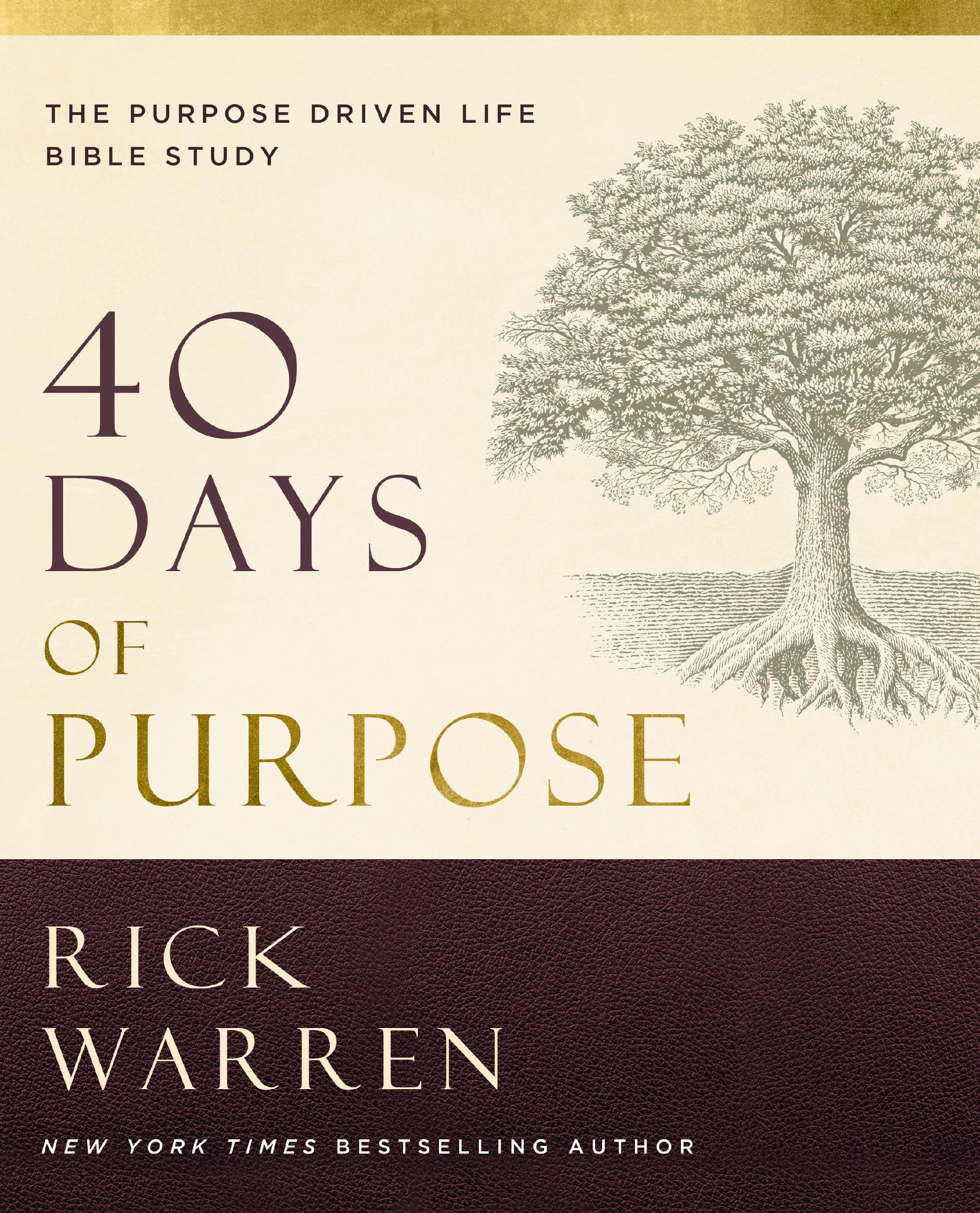 40 Days of Purpose: The Purpose Driven Life Bible Study: The Purpose Driven Life Bible Study