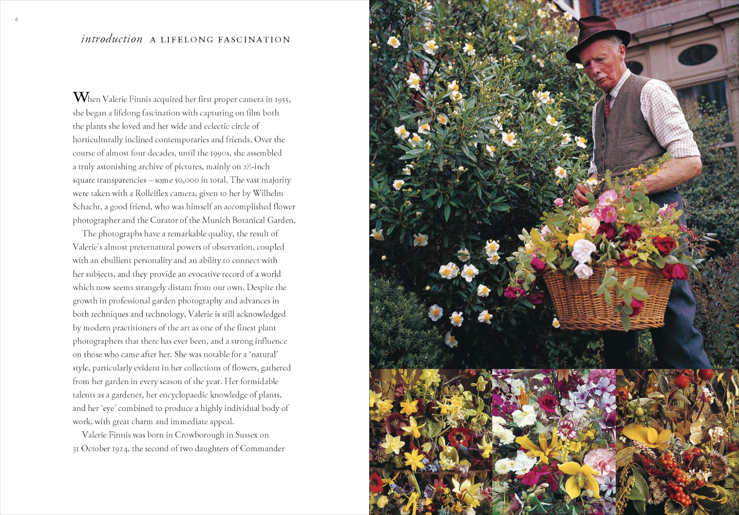 Garden People: Valerie Finnis and the Golden Age of Gardening