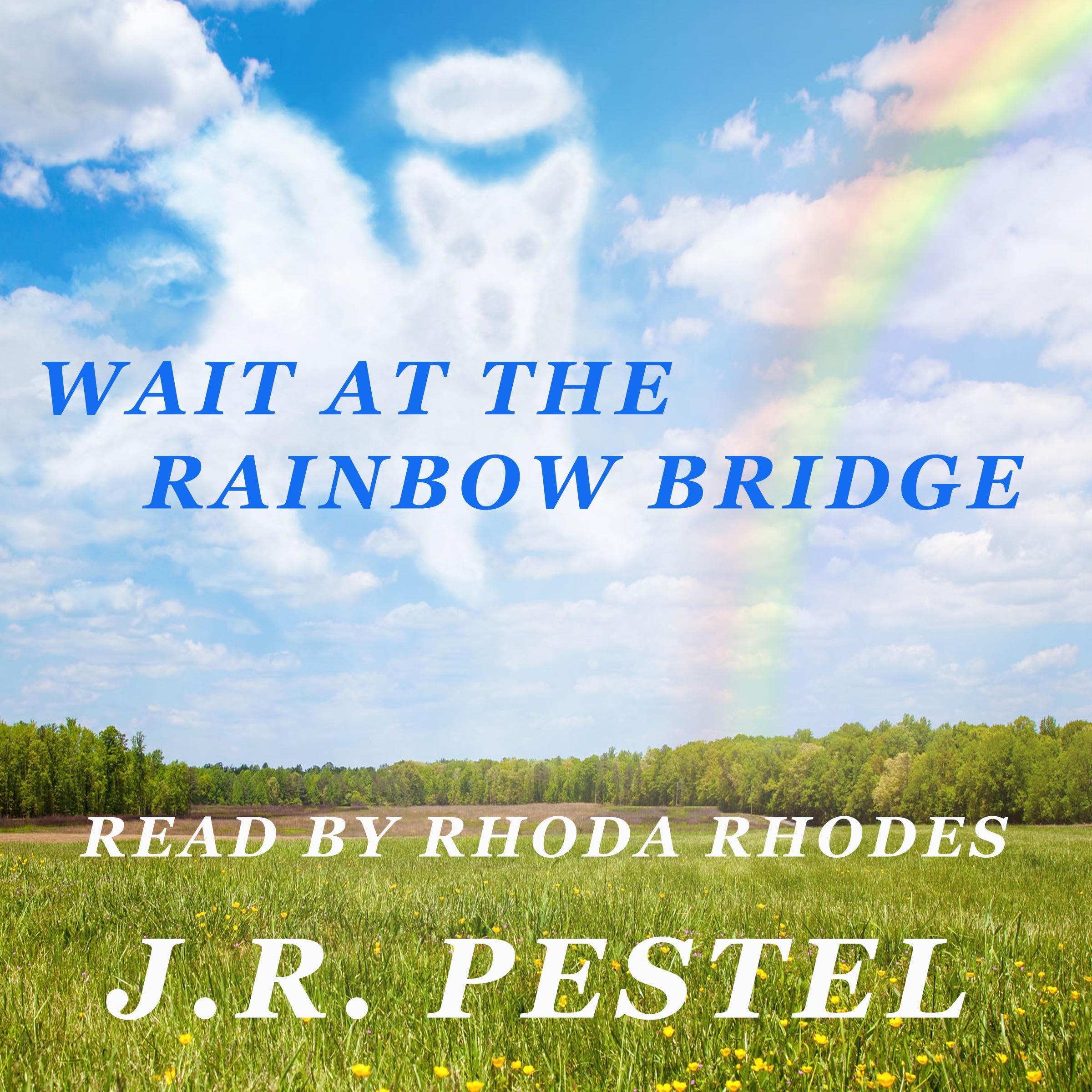 Cover art for Wait at the Rainbow Bridge