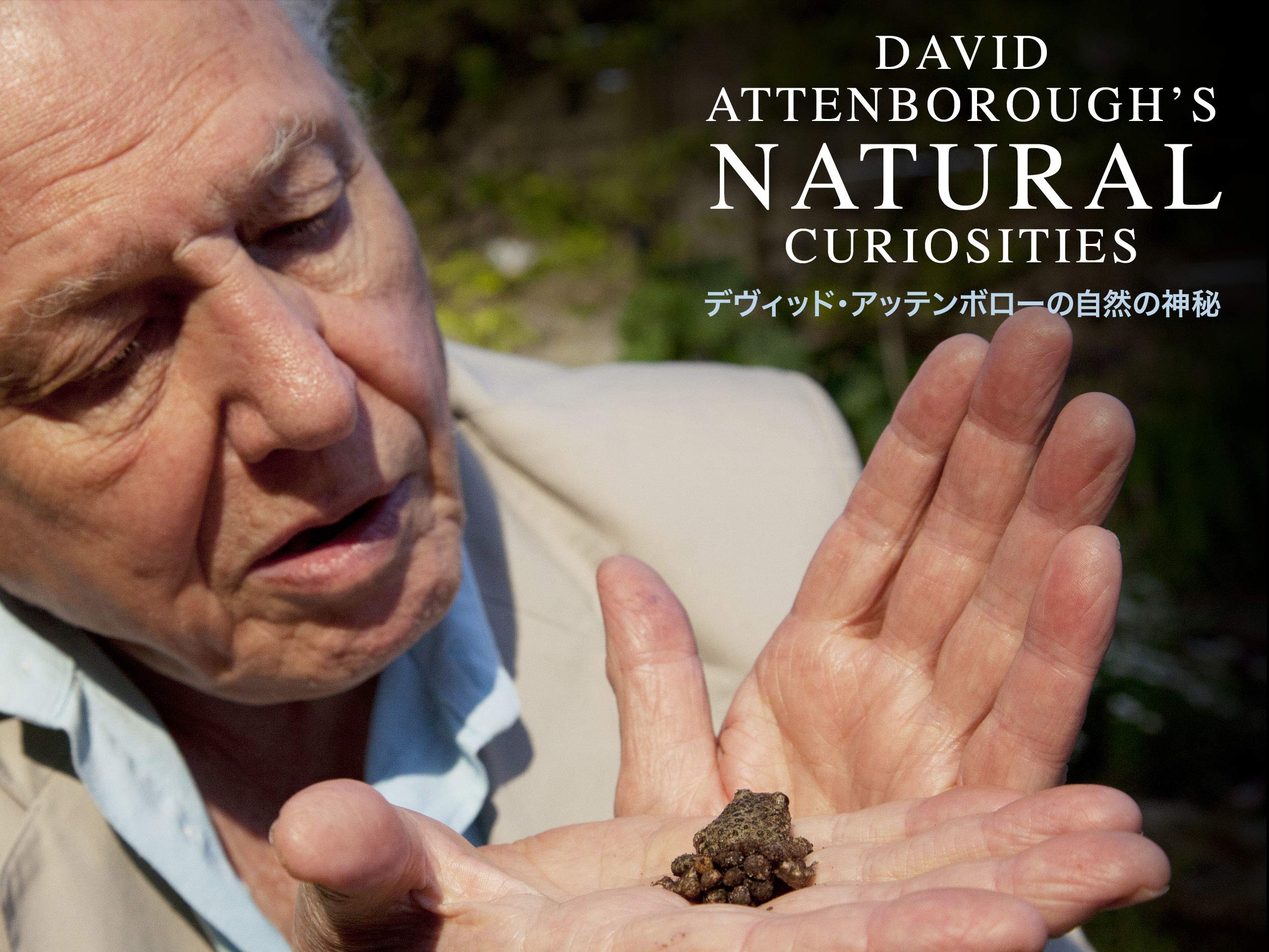 Amazon Co Jp デヴィッド アッテンボローの自然の神秘 字幕版 を観る Prime Video