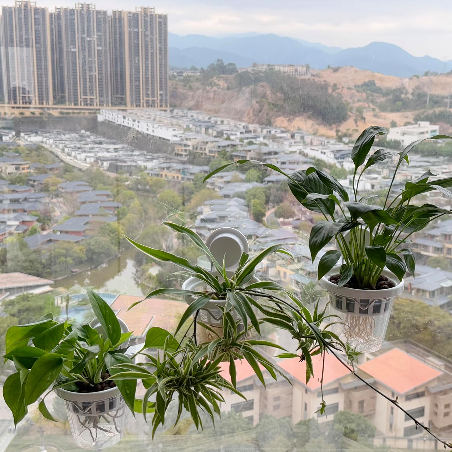 Set of 3 Plastic Window Planter with Suction Cup Holder. Large Window Popagation. Clear Self Watering Window Mounted Plant Pots. Window Sill Planters Extender for Indoor Hydroponic Plants