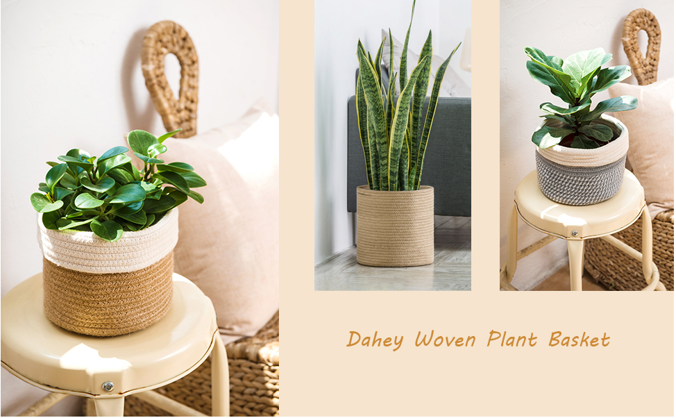 Amazon.com: Dahey Small Cotton Rope Plant Basket Woven Plant