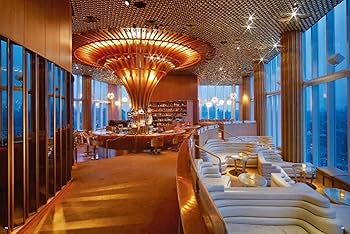 ロ-マンアンドウィリアムスの軌跡   /グラフィック社/スティ-ヴン・アレッシュ（大型本） ローマン アンド ウィリアムスの軌跡 | スティーヴン