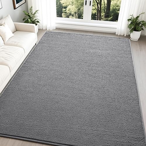 Nuttumico Large Modern Area Rugs for Bedroom Living Room, 5x7