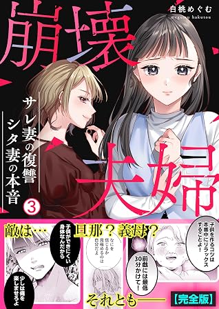 崩壊夫婦~サレ妻の復讐・シタ妻の本音【完全版】(3) (hachico)