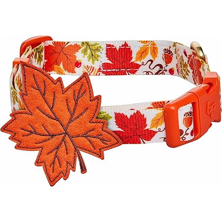 fall dog collars amazon