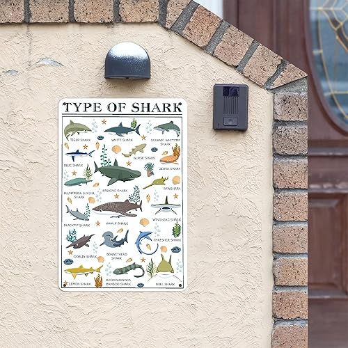 Miniatura 2 de Póster de tiburón  Arte de pared de conocimiento de tiburón  Tipos de tiburón letrero de metal de aluminio  Divertido mundo educativo ciencia