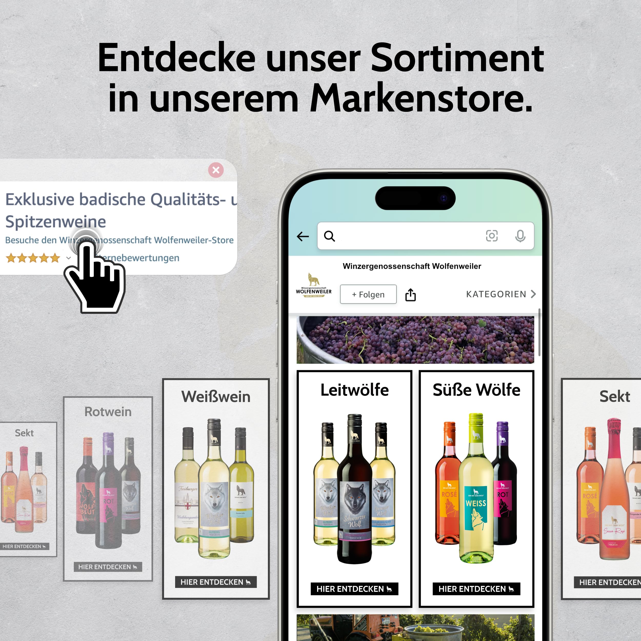 Wolfenweiler Spätburgunder trocken - Schwarzer Wolf rubinroter Rotwein trocken mit Holz- und Vanillearomen - Wein aus dem Markgräflerland Baden (6 x 0,75l)