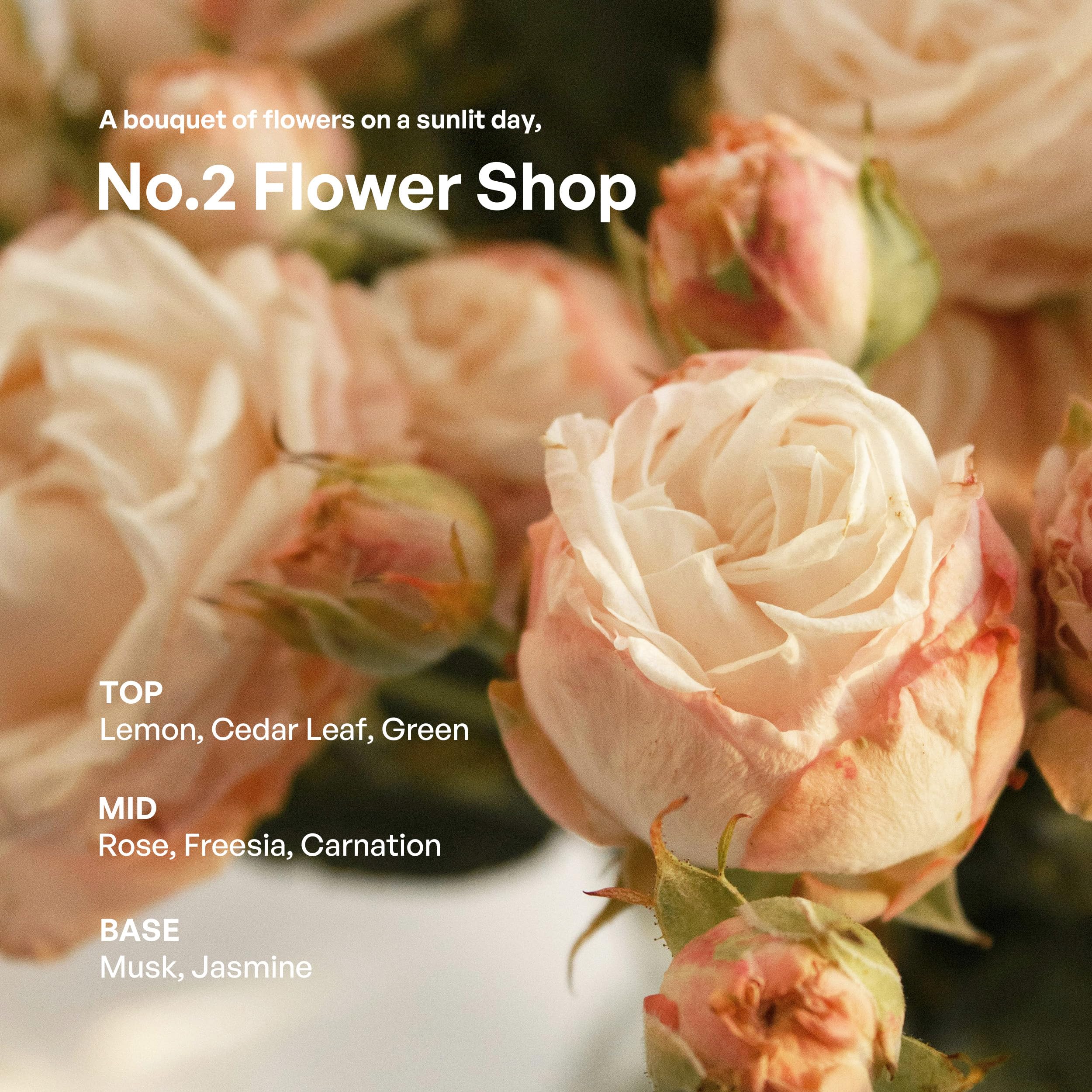 HETRAS. Dyfuzor trzcinowy Premium: Zestaw 2 x 480 ml (1000 ml) Duża pojemność | Dyfuzor oleju zapachowego i patyczki do dekoracji domu, biura i łazienki - Prezenty dla ukochanej osoby (kwiaciarnia)