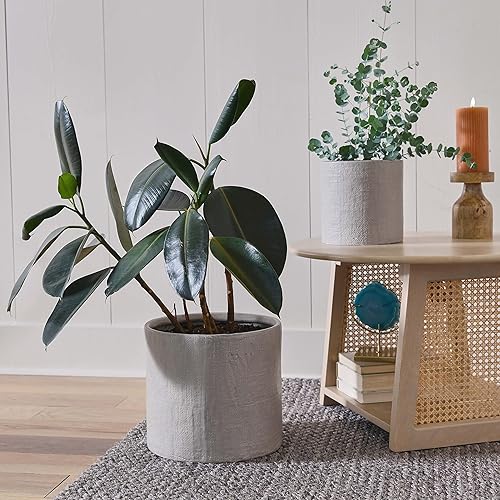 Miniatura 9 de Main + Mesa Juego de 2 macetas de gres