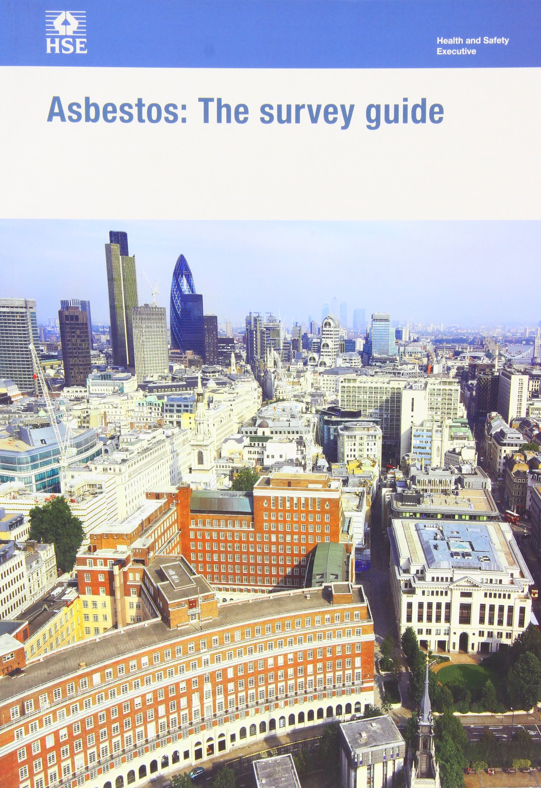 Asbestos: the survey guide