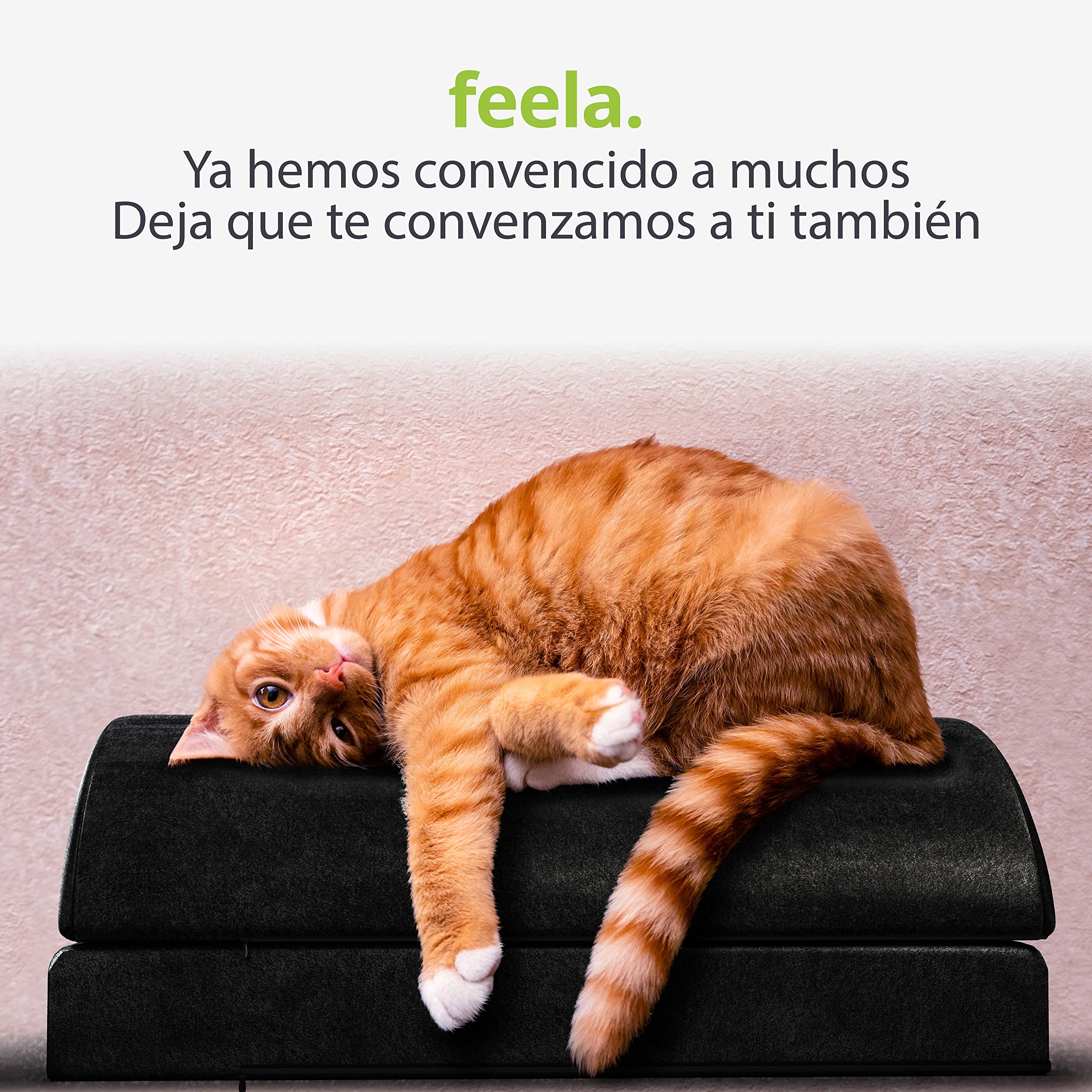 feela. Reposapiés ergonómico para oficina & Co | Se puede utilizar como taburete, reposapiés o reposapiés en la oficina | Foot Rest | Regulable en altura (Negro)