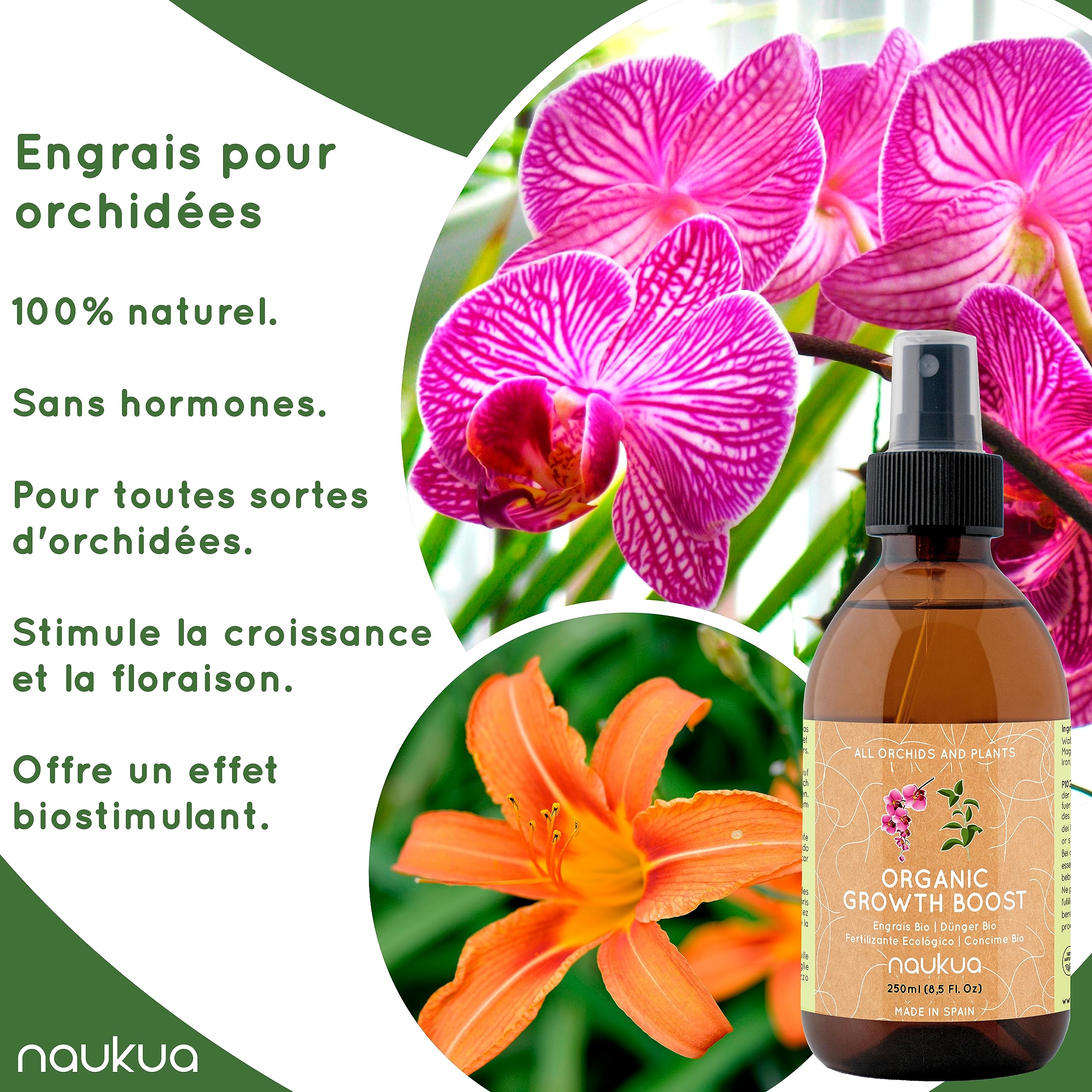 Engrais Bio pour Orchidées - Revitalisation et Floraison Prolongée - 100% Naturel - Fertilisant et Stimulateur de Croissance - Orchidées d'Intérieur et Extérieur – Spray Prêt à l'Emploi 250ml