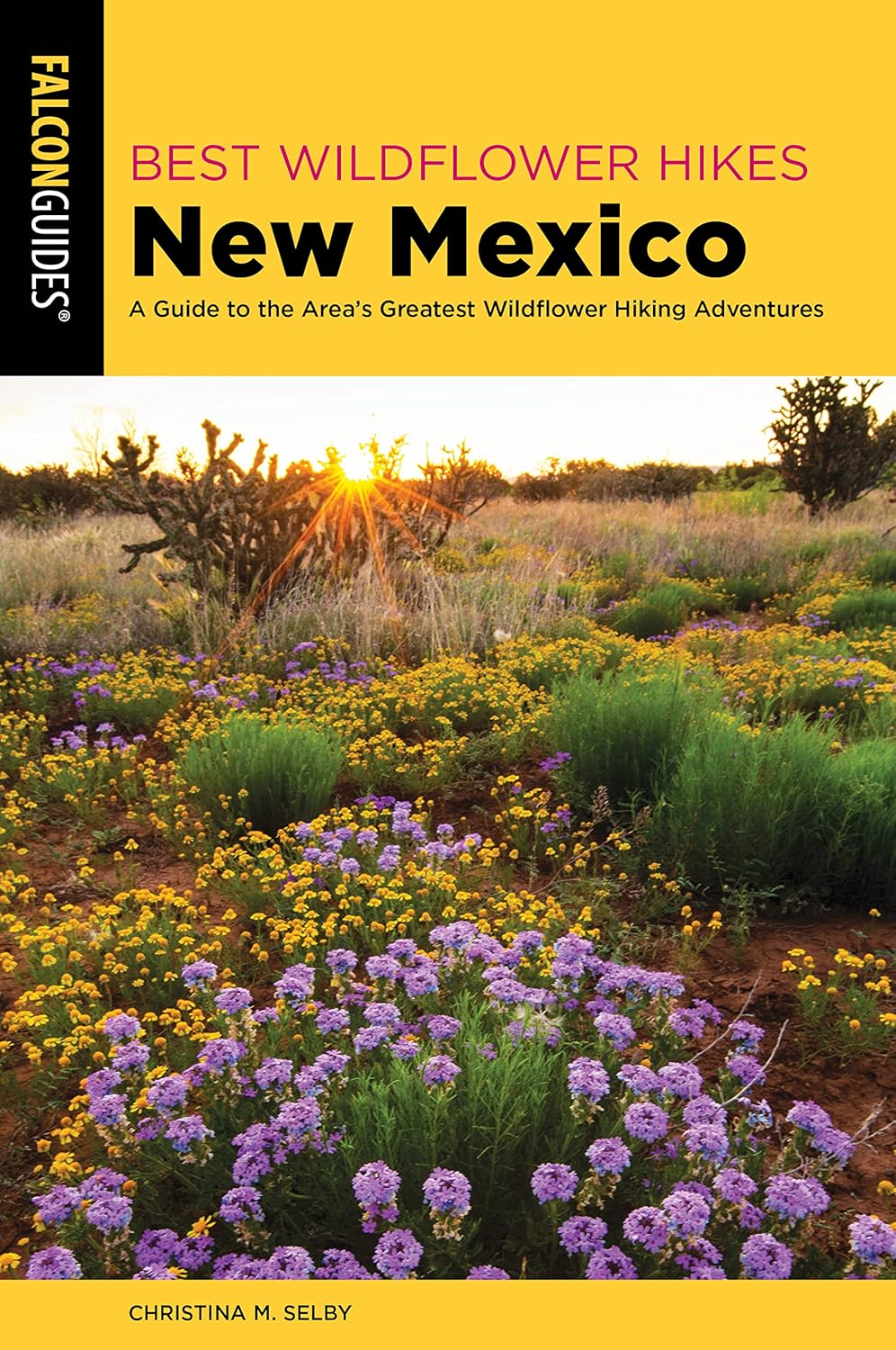 Best Wildflower Hikes New Mexico A Guide to the Area's Greatest