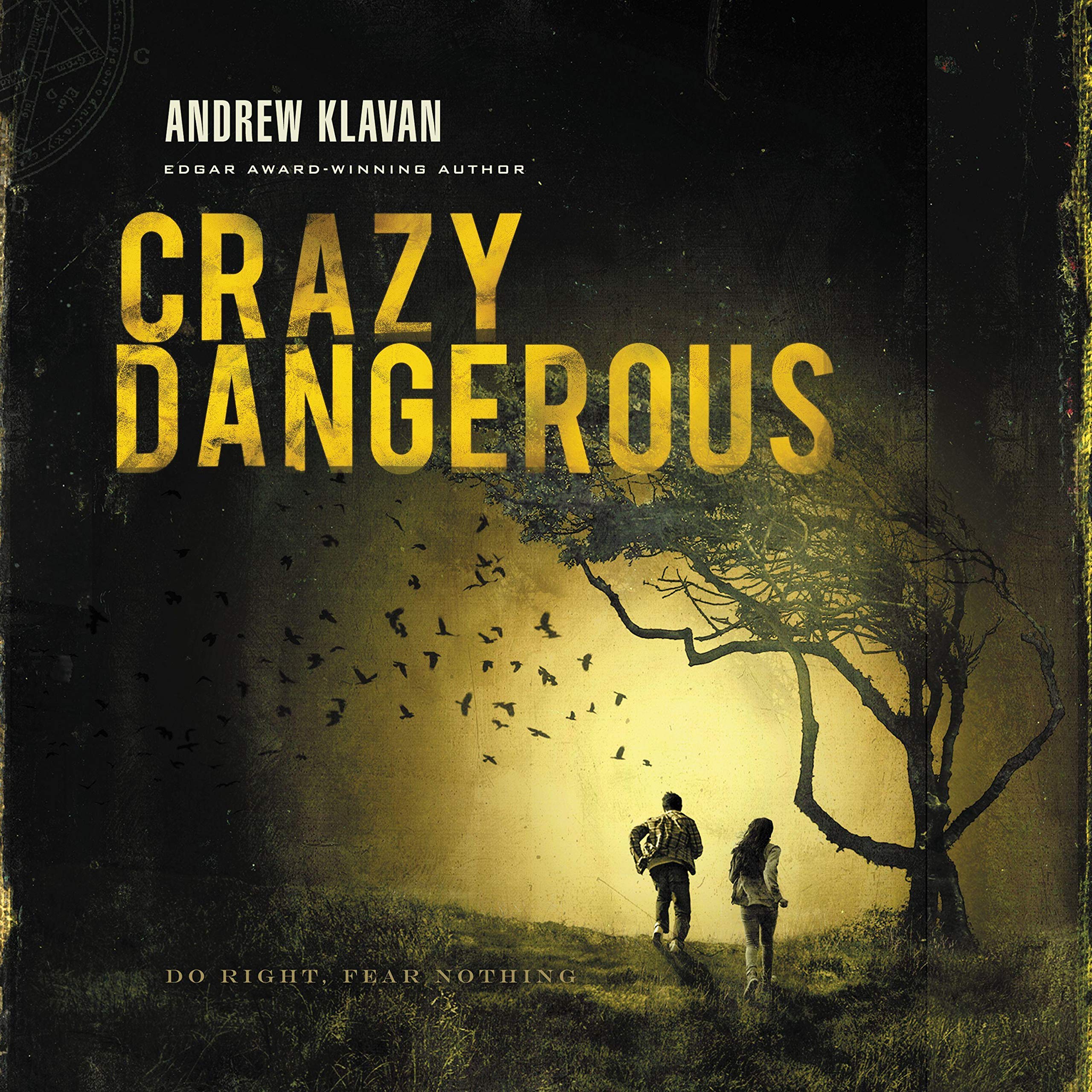 Cover art for Crazy Dangerous