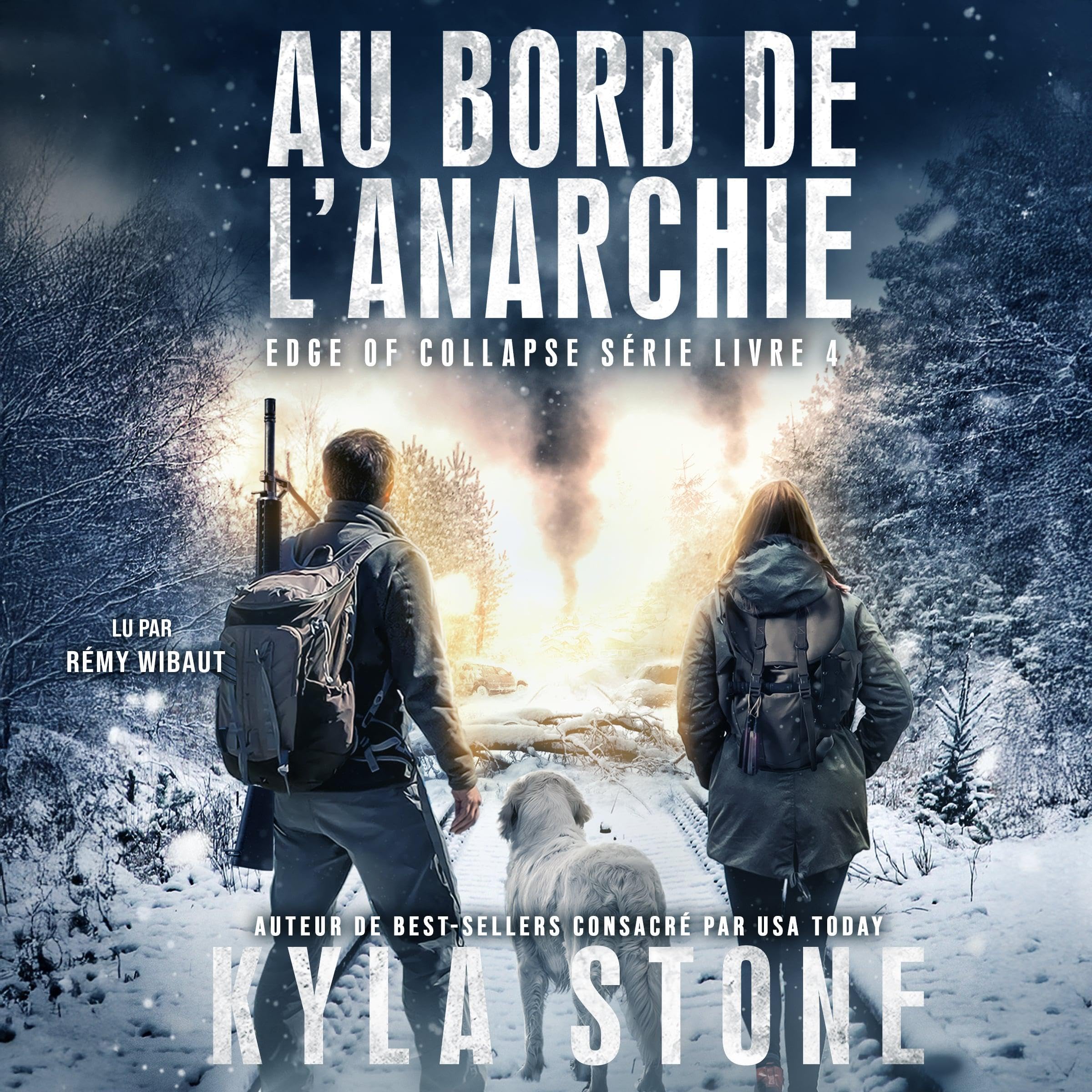 Cover art for Au bord de l’anarchie [On the Verge of Anarchy]