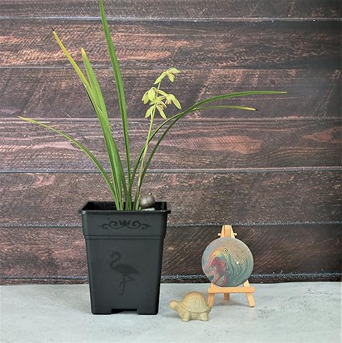 Miniatura 5 de Maceta cuadrada de plástico de 1 galón para plantas de interior y exterior, paquete de 10 con agujeros de drenaje, color verde