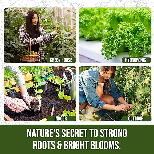 Miniatura 4 de PlantVantage Root & Bloom Fertilizante – Fórmula súper concentrada para raíces fuertes y vibrantes – Ideal para árboles, arbustos, flores y verduras