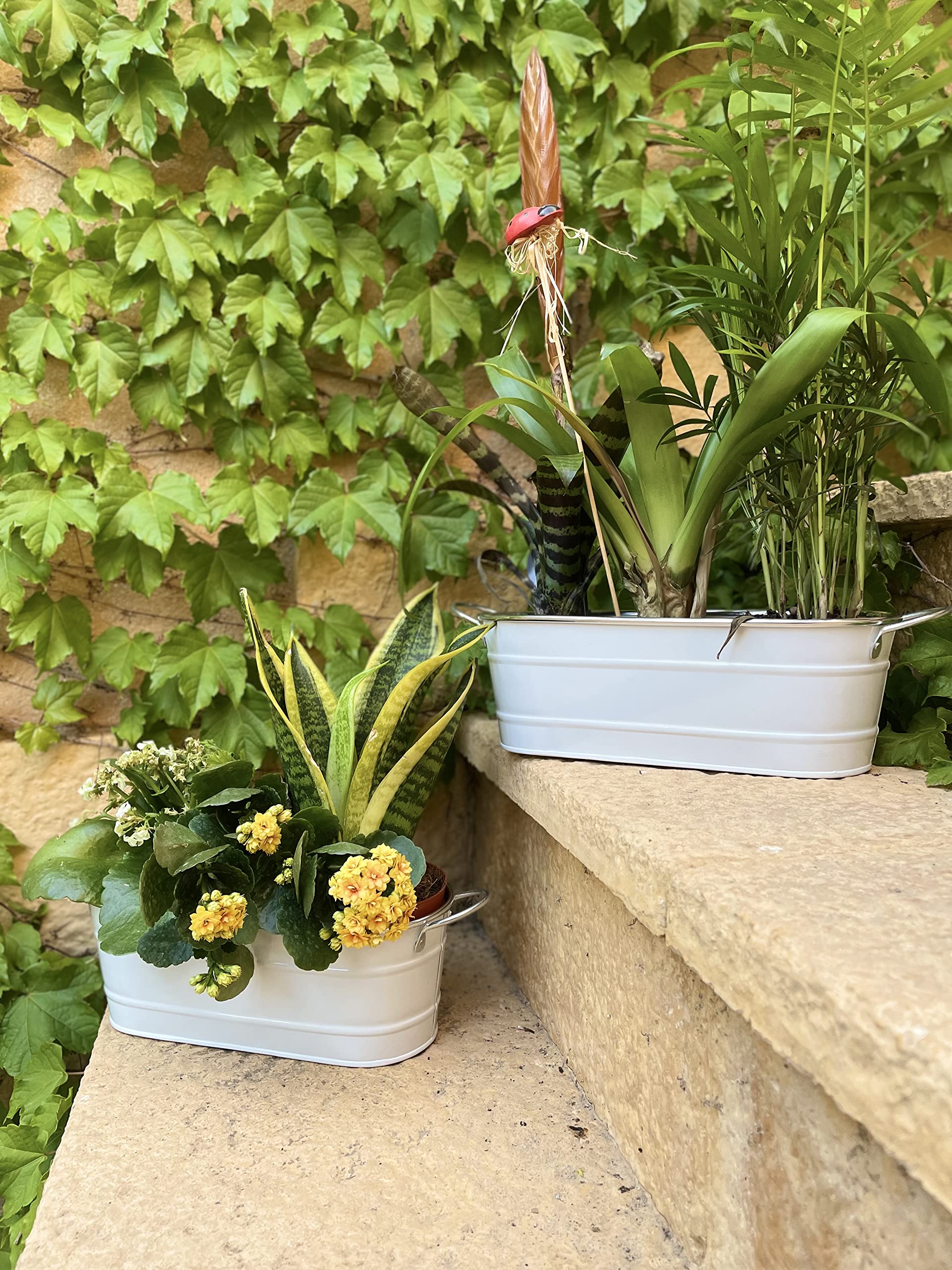 Lot De 2 Jardinières Ovales En Zinc Avec Poignées - Couleur Métallique, 27x11x10 Cm - Pour Plantes, Décoration Intérieur/extérieur