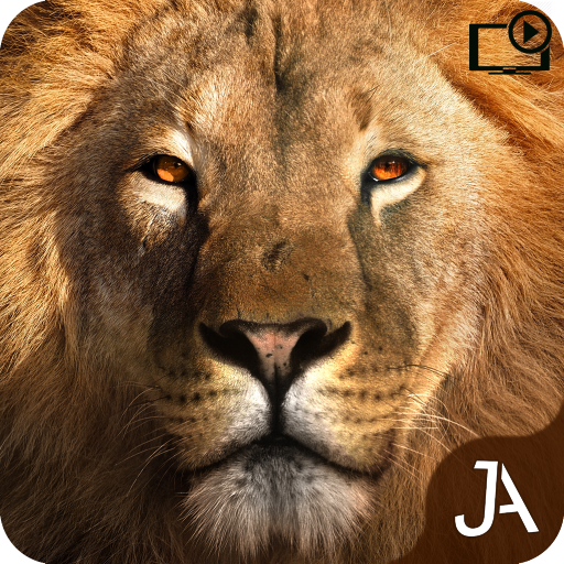 Safari: Online Evolution