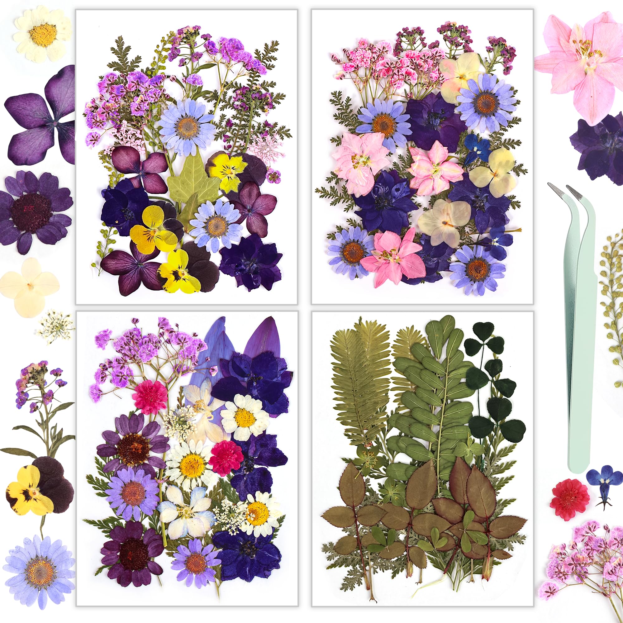 Resiners 100 Stück Getrocknete Blumen Natürliche Gepresste Getrocknete Blumen Blätter für Harz Schmuck Machen, DIY Kerzen, Anhänger, Handyhüllen, Fotorahmen, Bath Bombs, Scrapbook