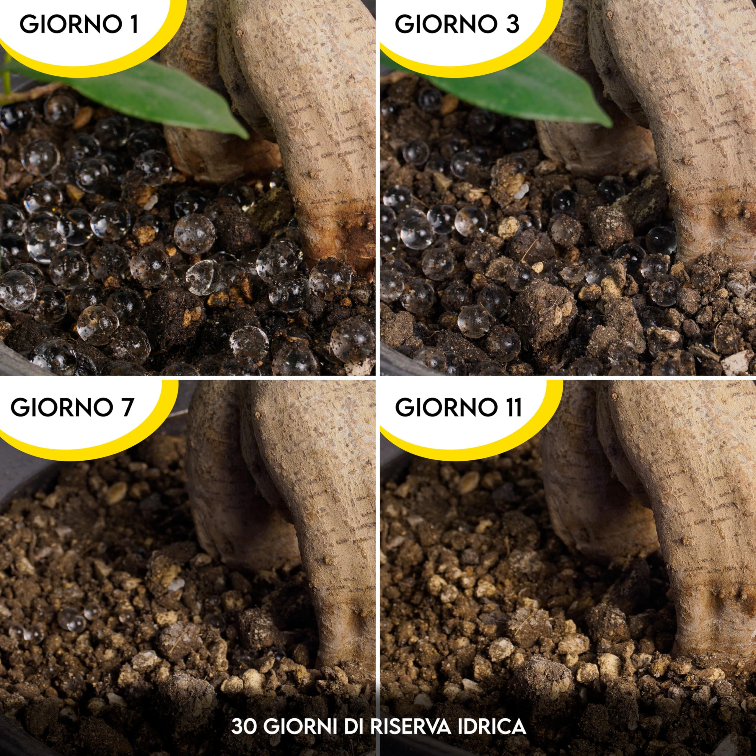 ZOMA - Palline Gel per Piante Pronte all'Uso 100% Naturali, Sfere gel per piante garantiscono fino a 30 giorni di Idratazione Costante, Acqua Complessata per vasi Palline Decorative e Funzionali 1L