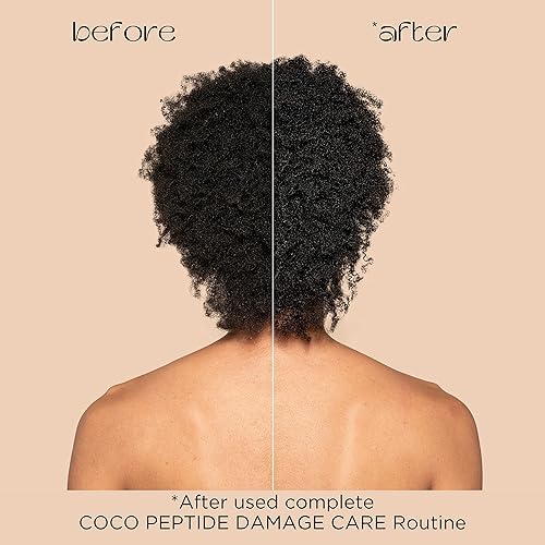 Miniatura 7 de PACIFICA Beauty, Champú para el cuidado de daños de péptidos de coco, cabello seco y dañado, reparación de daños por blanqueador, color, servicios