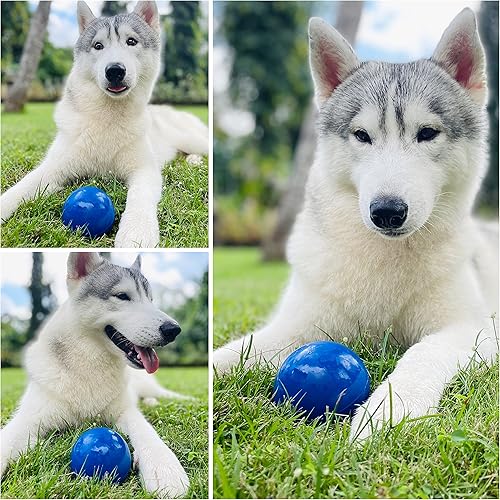 Miniatura 5 de SuperChewy - Pelota de juguete resistente para perros, reemplazo de por vida, goma natural fuerte, gran juguete para buscar perros, juguetes