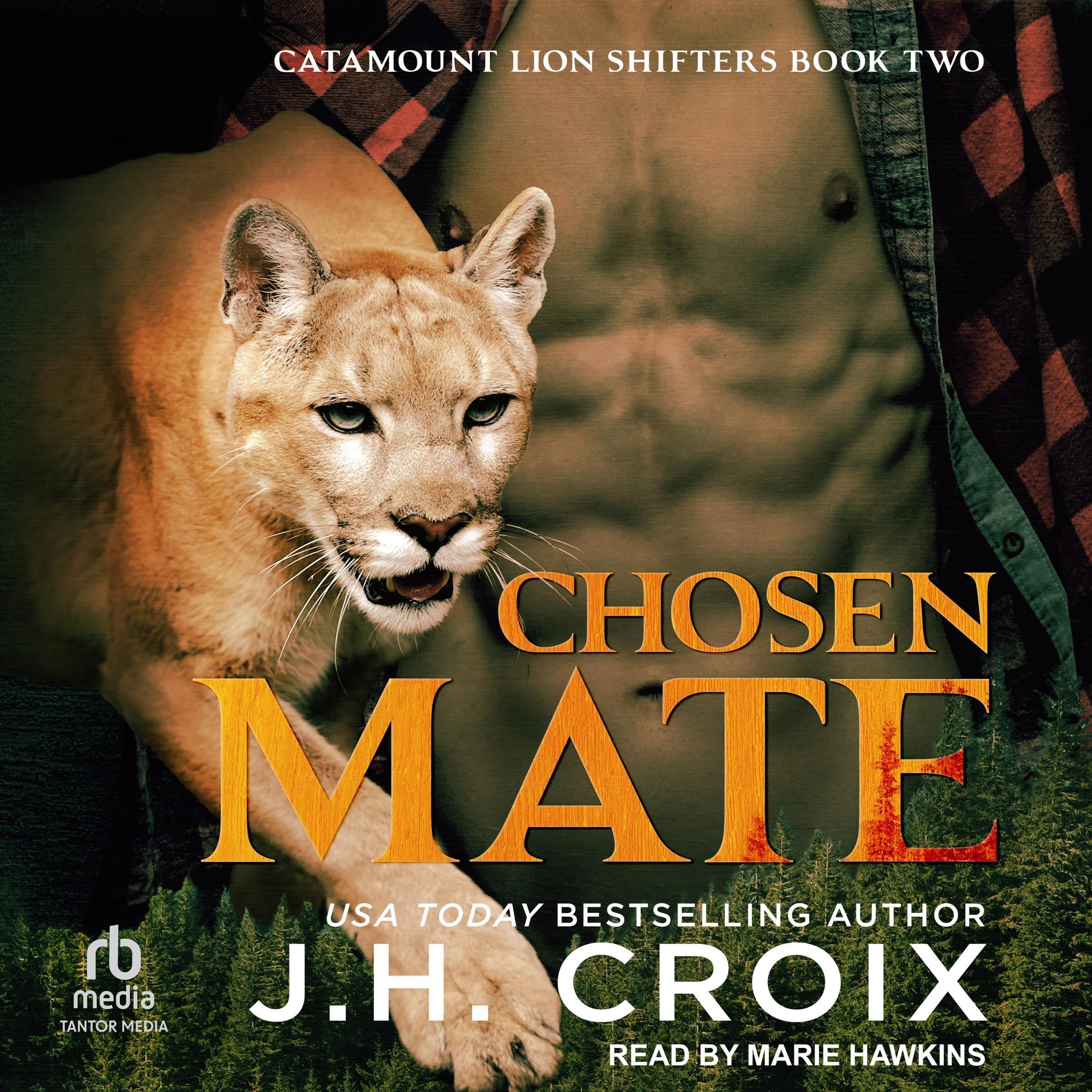 Cover art for Chosen Mate