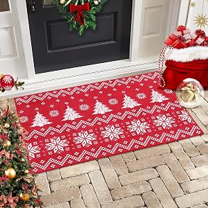 RUGSREAL 2x3 Christmas Entryway Doormat Small Indoor Throw Rug Front Door Xmas Decorative Rug Machine Washable Floor Carpet