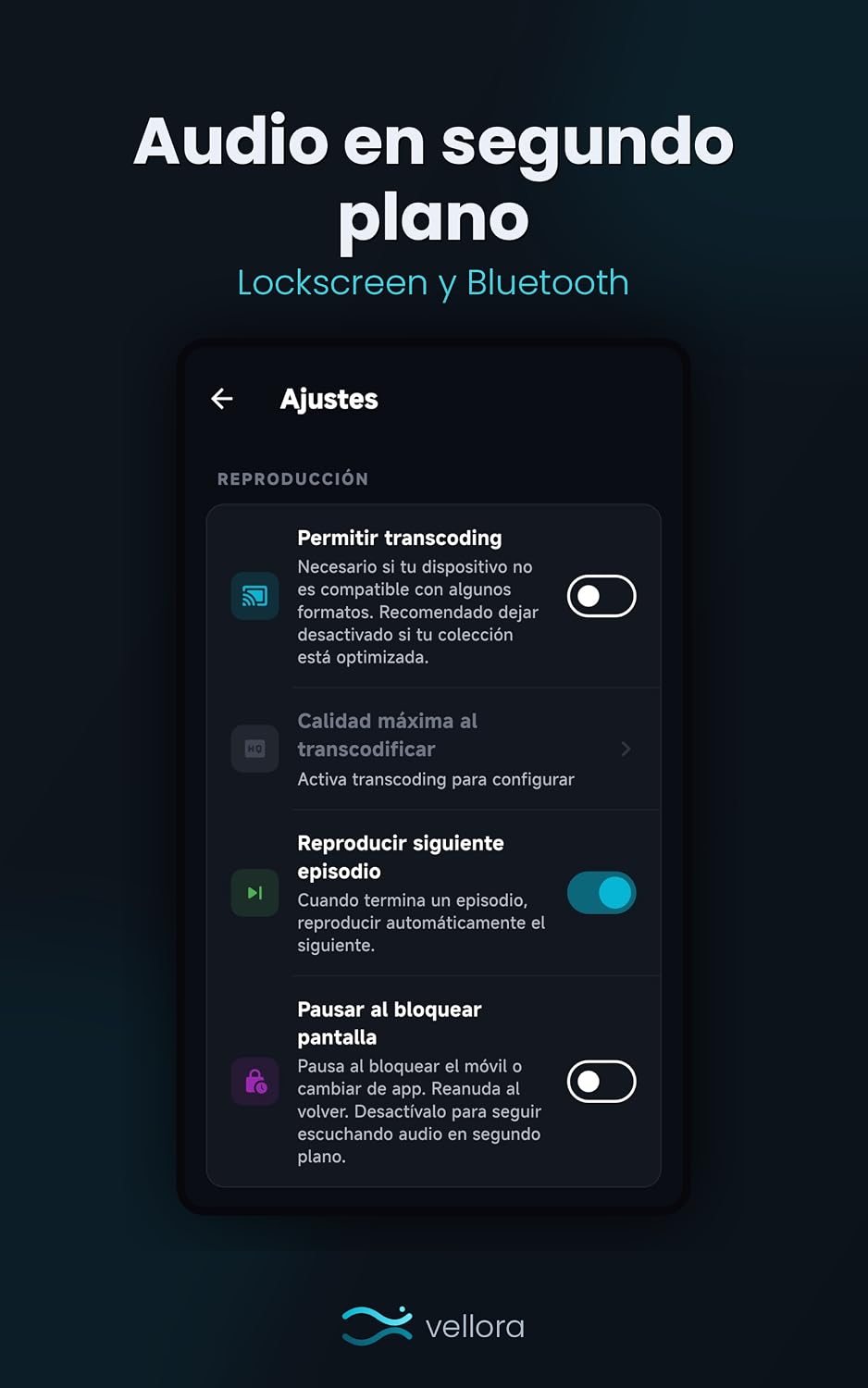 Vue 5