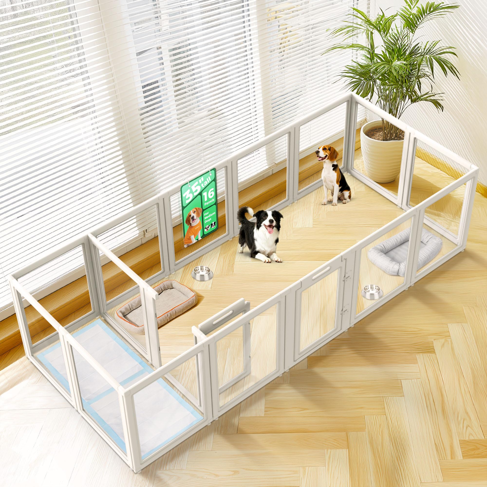 FXW AuraSpace Acrylic Indoor Dog Playpen for Medium Dogs, 35 Inch, 16 Panels, White