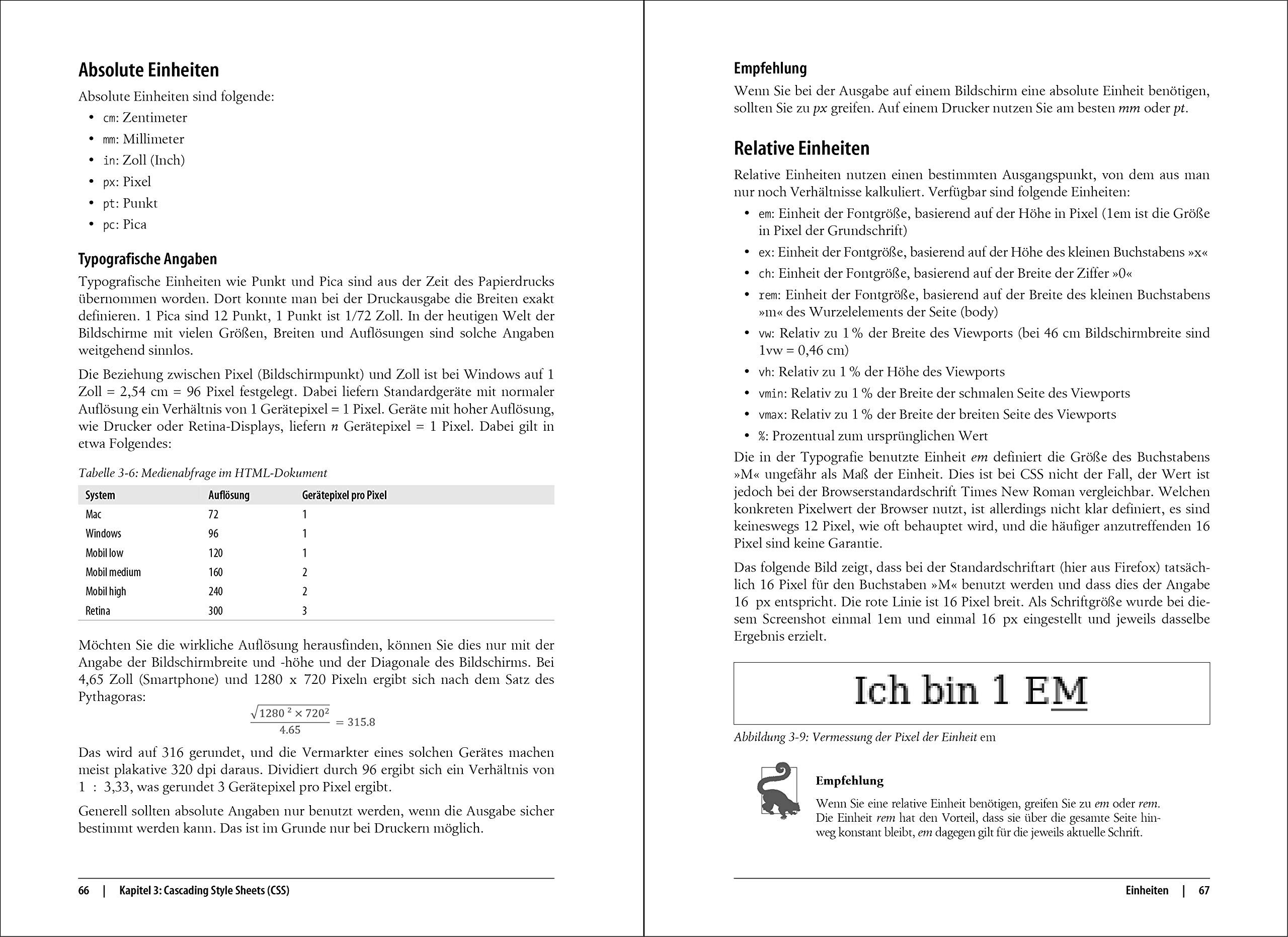 Moderne Webanwendungen für .NET-Entwickler: Server-Anwendungen, Web APIs, SPAs & HTML-Cross-Platform-Anwendungen mit ASP.NET, ASP.NET Core, ... Steyer und Sebastian Kleinschmager (Animals)