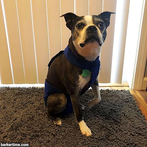 Miniatura 6 de Royal Blue - Pañal impermeable prémium para perro, a prueba de escapes, XL, con orificio para la cola, fabricado en Estados Unidos