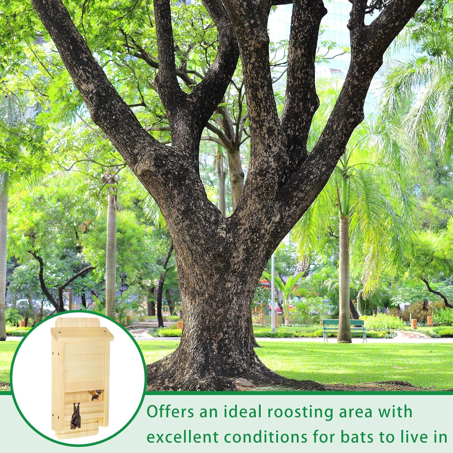 2 Pcs Wood Bat House for Outdoors 14.5 x 6.7 x 2.2 Inches Weatherproof Bat Box Easy to Install Weatherproof Shelter for Outdoor Natural Backyard(Wood Color)